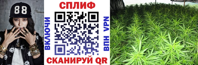 LSD-25 Нижнекамск