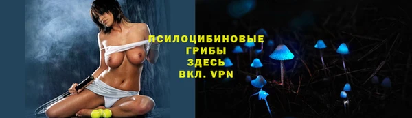 прущие грибы Абдулино