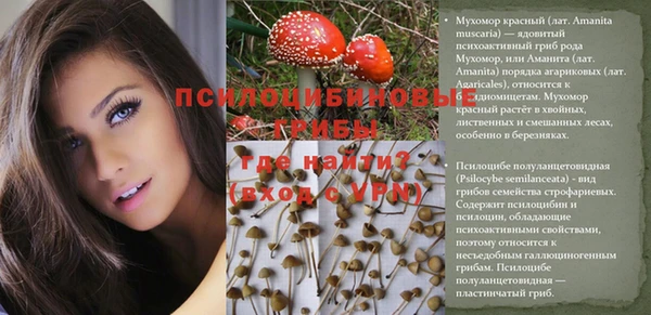 бутик Абаза