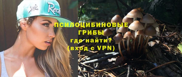 прущие грибы Абдулино