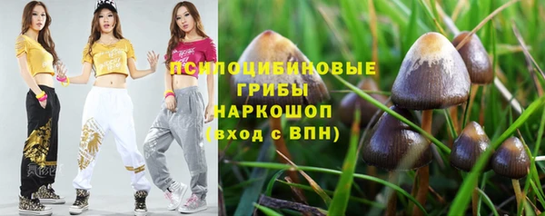 прущие грибы Абдулино