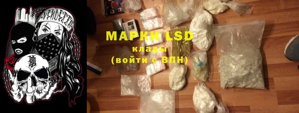 прущие грибы Абдулино